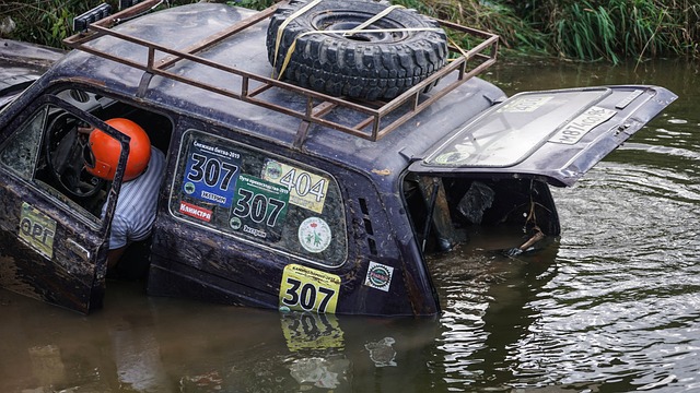 也极大助力 也极大助力