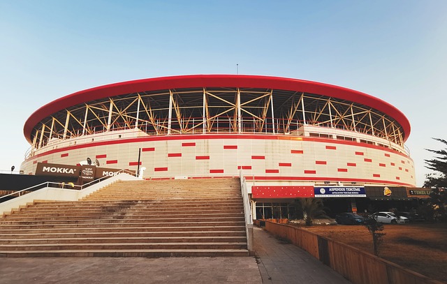 他的强劲对 他的强劲对