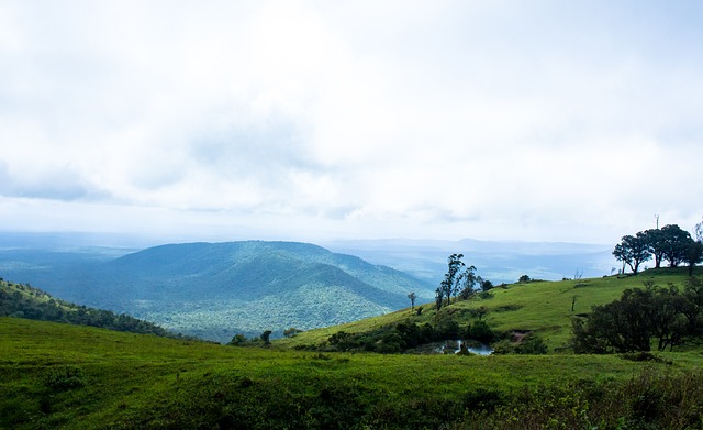 参加重大比 参加重大比