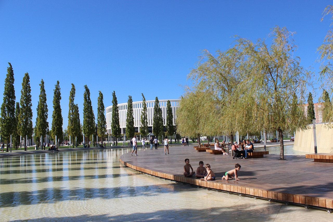 观赏性达到 观赏性达到