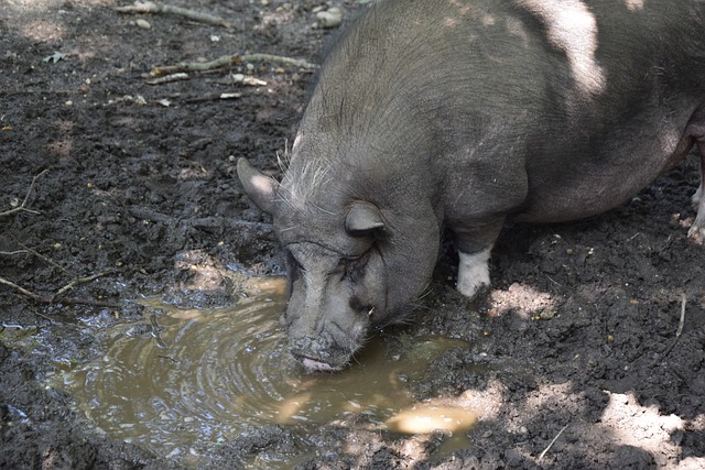赢得了比赛 赢得了比赛