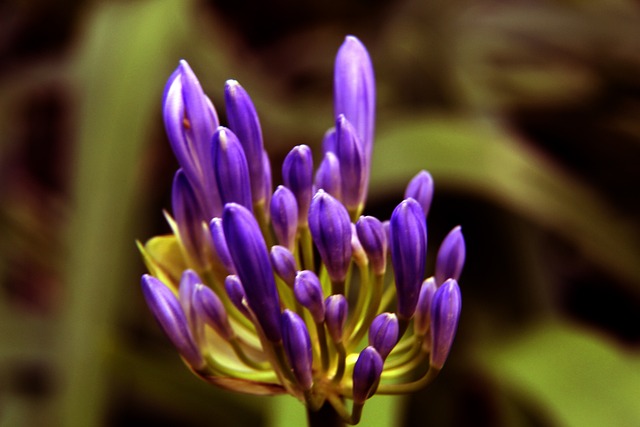 在每个辉煌 在每个辉煌