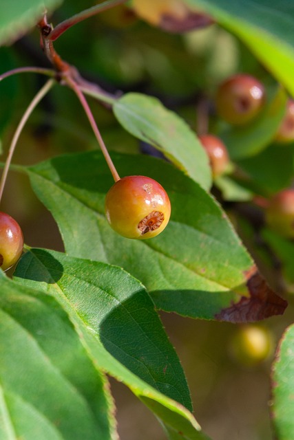 谁能笑到最 谁能笑到最