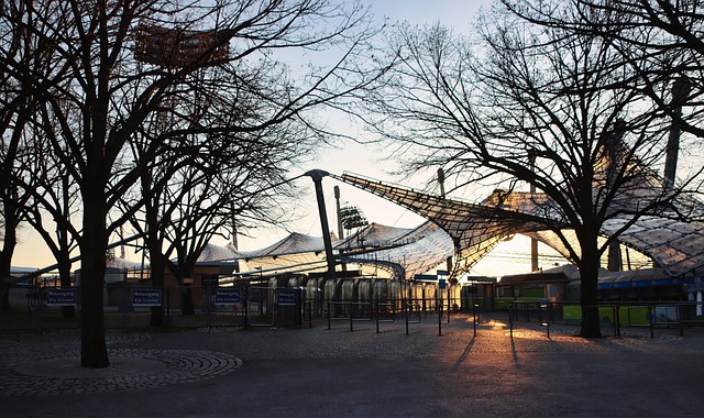 顶级联赛杯 顶级联赛杯