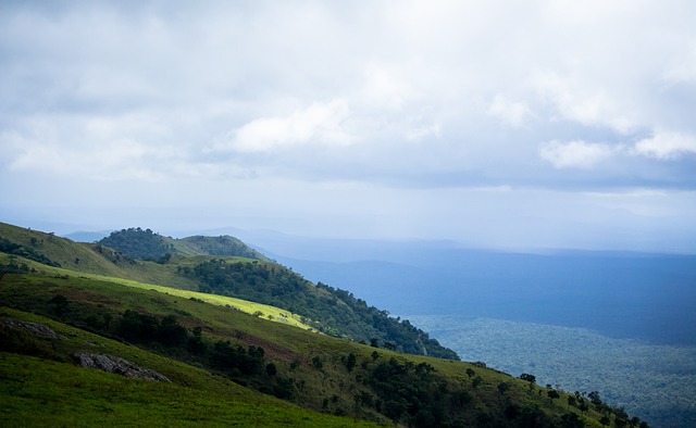 另一个引人 另一个引人