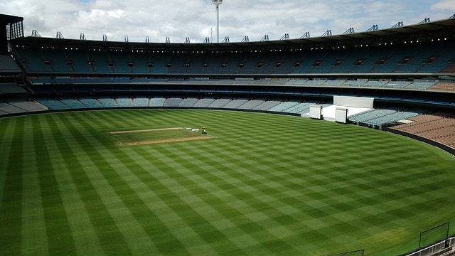 国乒的主要 国乒的主要