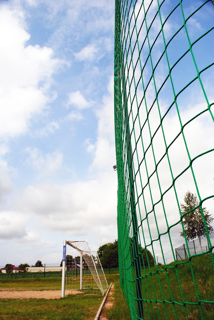 术团队的管 术团队的管