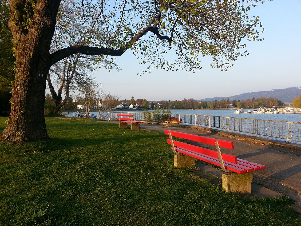 为球队的成 为球队的成